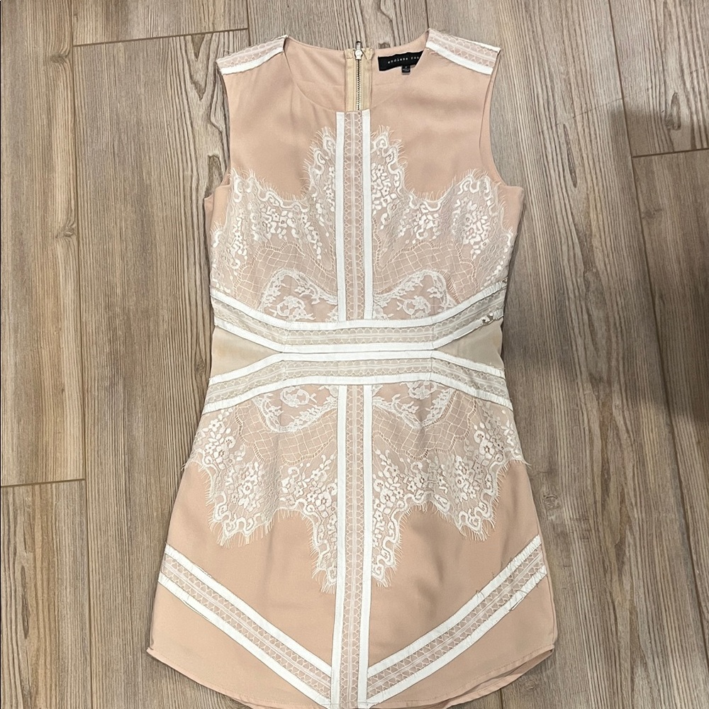 Endless Rose Sheer Lace Mini Dress - White and Cream - Picture 9 of 10